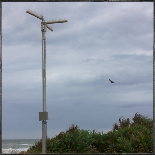 Canaveral NPS Viewing Rigs